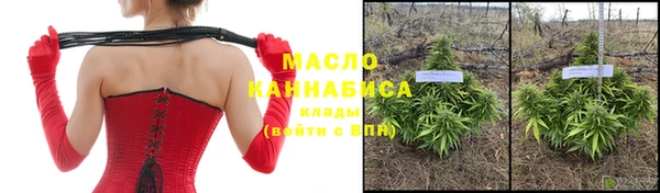 прущий лед Михайлов