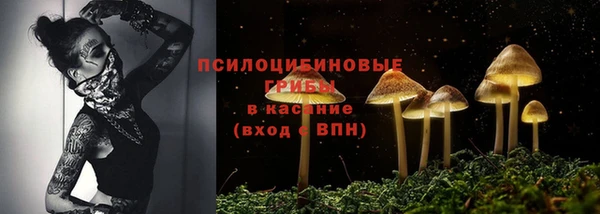 прущий лед Михайлов