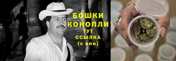 прущие грибы Михайловск