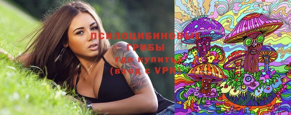 прущий лед Михайлов
