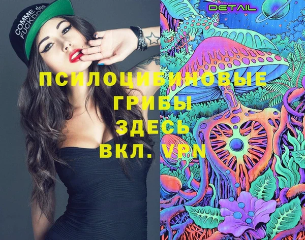 прущий лед Михайлов