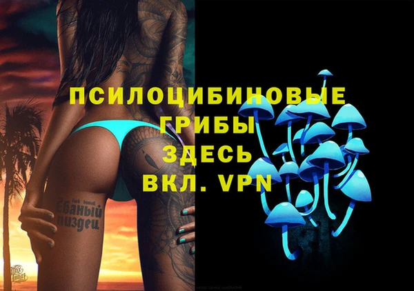 прущие грибы Михайловск