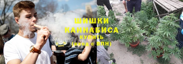 прущие грибы Михайловск