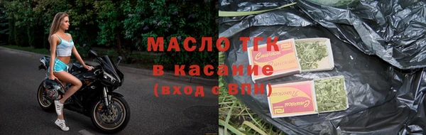 прущие грибы Михайловск