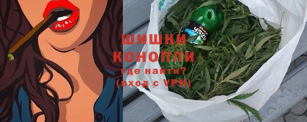 прущие грибы Михайловск