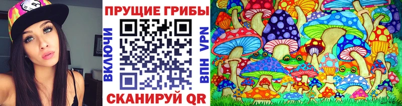 что такое наркотик  Усмань  Галлюциногенные грибы Psilocybe 